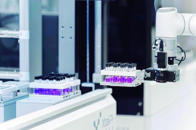 立博官网☀️✅_☯️探索立博全球线上投注平台的精彩世界？