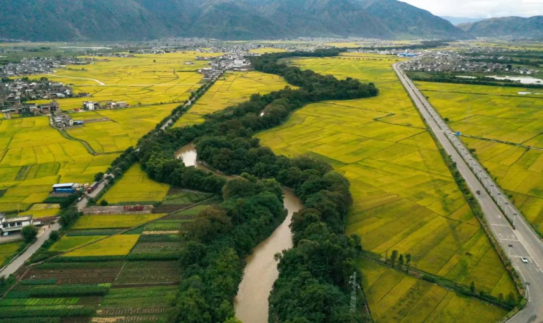 17图库,重获新生的视觉盛宴✅✅✅恢复图库 17图库,重获新生的视觉盛宴✅✅✅恢复图库