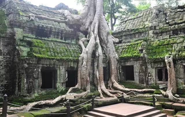 探索吉祥坊的神秘之旅,揭秘官方网址的独特魅力✅✅✅ 探索吉祥坊的神秘之旅,揭秘官方网址的独特魅力✅✅✅