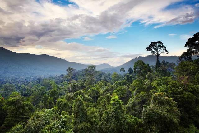 探索沙巴(中国)网站有限公司官网，一站式旅游服务的新视界 🌍✅✅✅沙巴小众玩法,让你赢遍朋友圈!