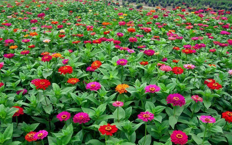 探索东森在线官网，一站式娱乐与资讯的数字乐园 🎉✅✅✅东森电影官网